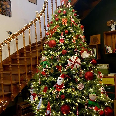 Sojolidays - Appartements D'Hotes Sur La Route Des Vins D'Alsace Rorschwihr 외부 사진