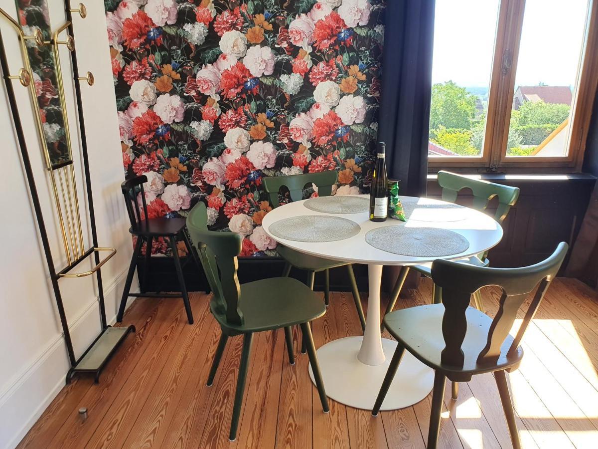 Sojolidays - Appartements D'Hotes Sur La Route Des Vins D'Alsace Rorschwihr 외부 사진