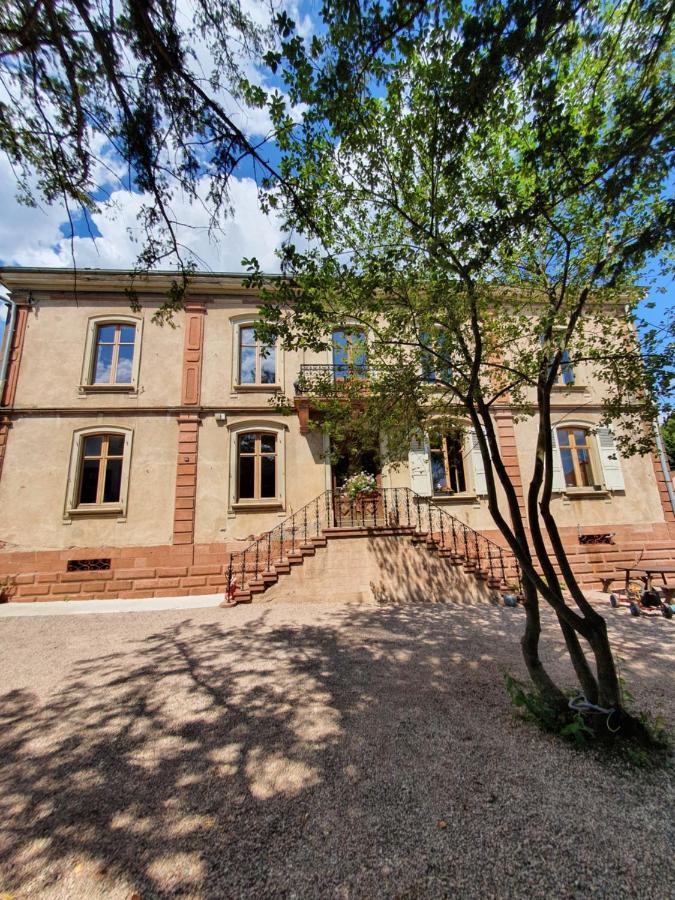 Sojolidays - Appartements D'Hotes Sur La Route Des Vins D'Alsace Rorschwihr 외부 사진