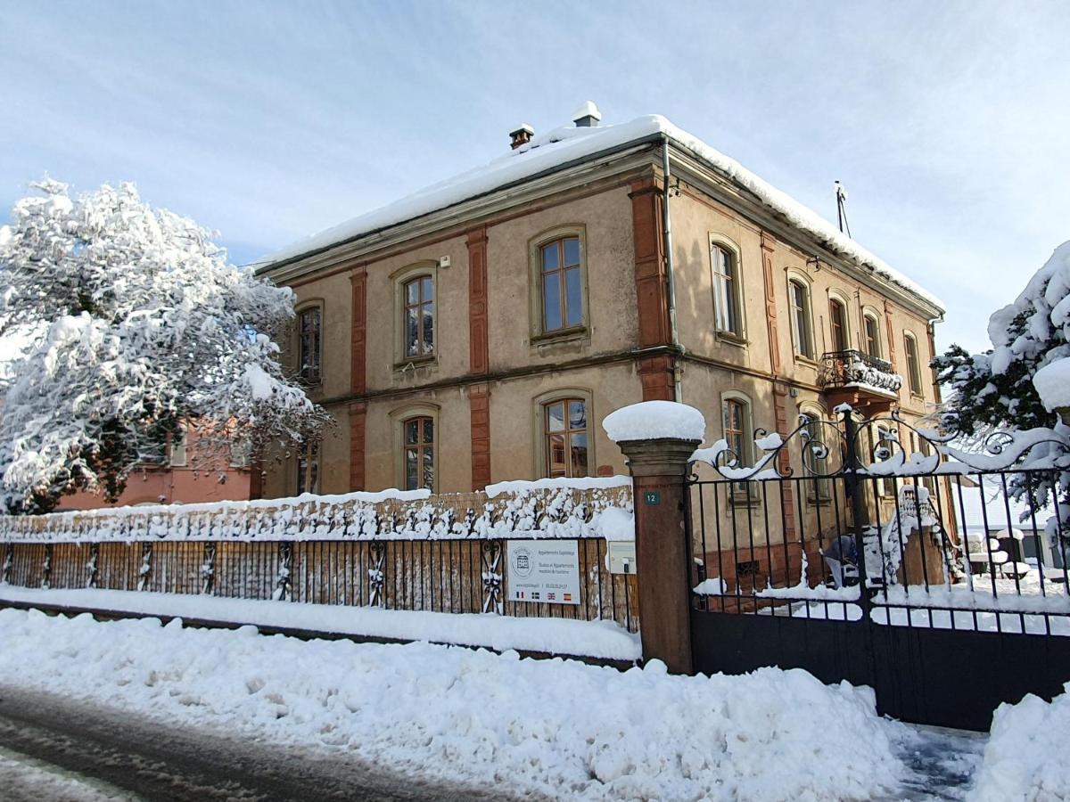 Sojolidays - Appartements D'Hotes Sur La Route Des Vins D'Alsace Rorschwihr 외부 사진